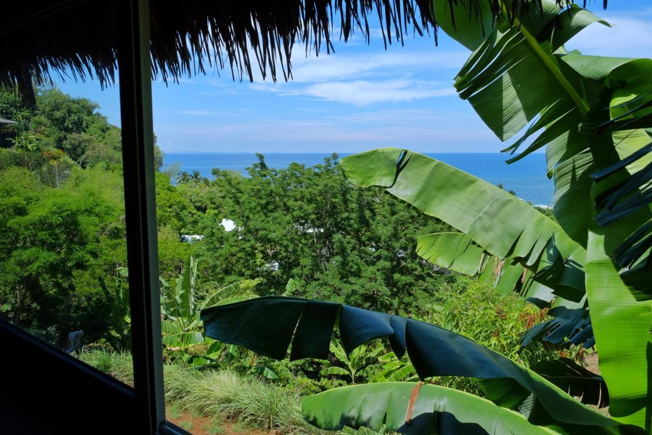 Colibri Lodge Ambatoloaka  Kültér fotó